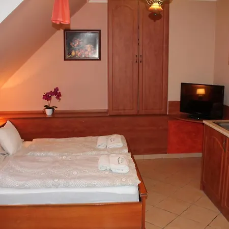 Rozmann Family Panzio & Apartmanhaz Sárvár Exteriér fotografie